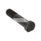 WIELBOUTEN M22X1,5X38X98-10.9-